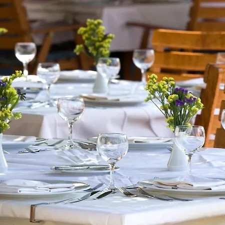 Hotel Vilina 4*
